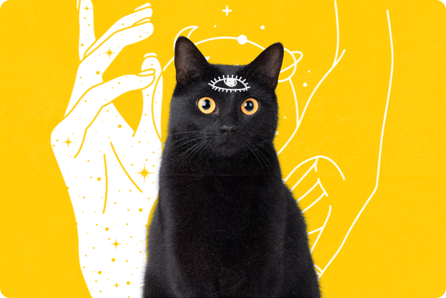 Sagrados e malditos: A fascinante história mística dos gatos